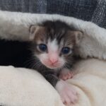 About us 15 20230721 095436 scaled 1 e1737211661250 1 1