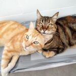 About us 13 WhatsApp Image 2025 02 17 at 11.28.45