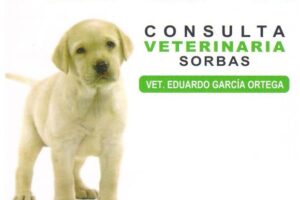 Vets 1 consulta veterinaria sorbas