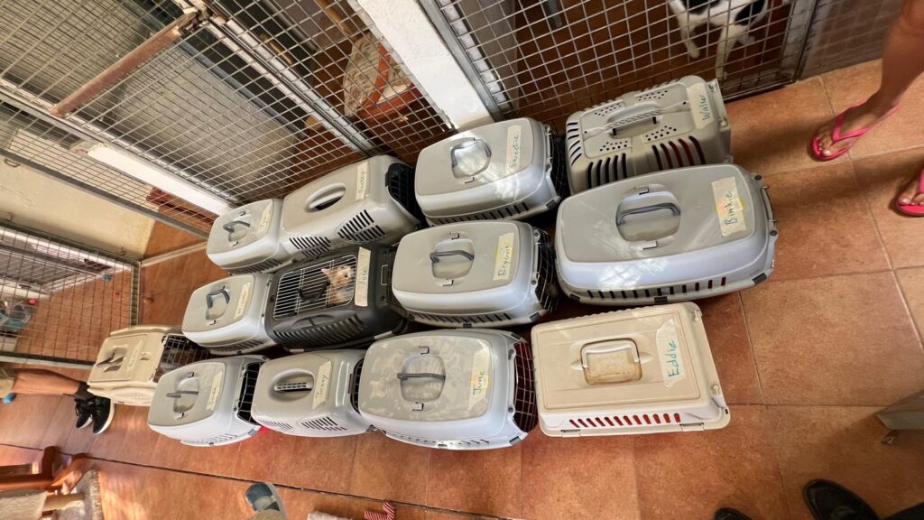 whatsapp image 2025 10 30 at 17.40.11