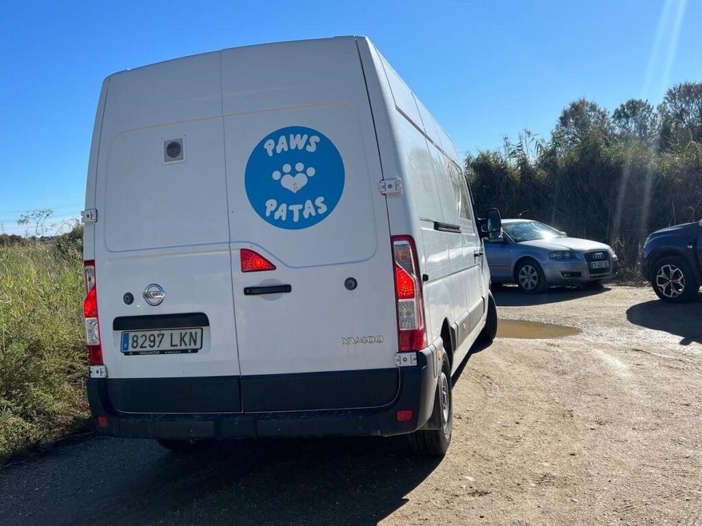 whatsapp image 2025 10 30 at 17.42.20 1