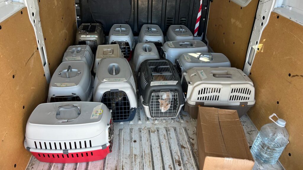 whatsapp image 2025 10 30 at 17.42.20