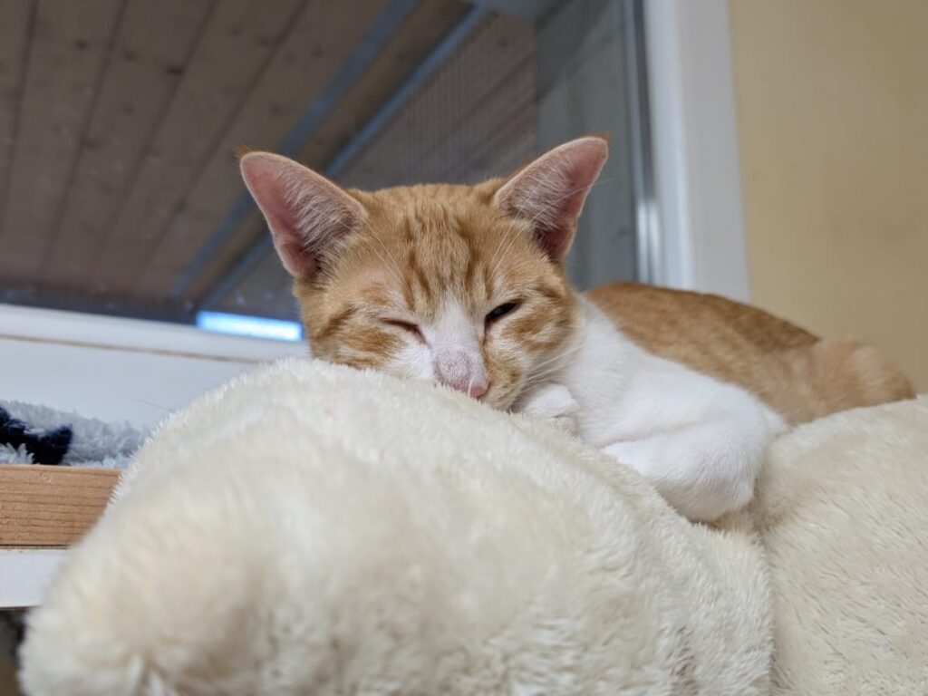 whatsapp image 2025 11 01 at 15.51.40 2