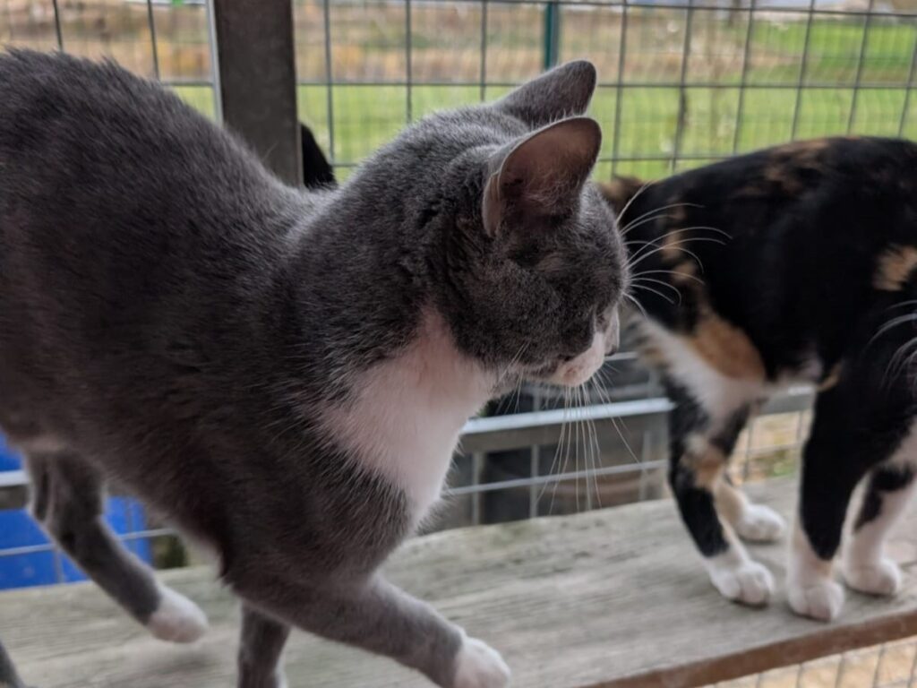 whatsapp image 2025 11 01 at 15.51.40 3