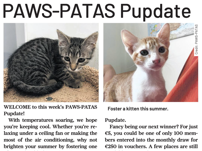 pawspatas pupdate