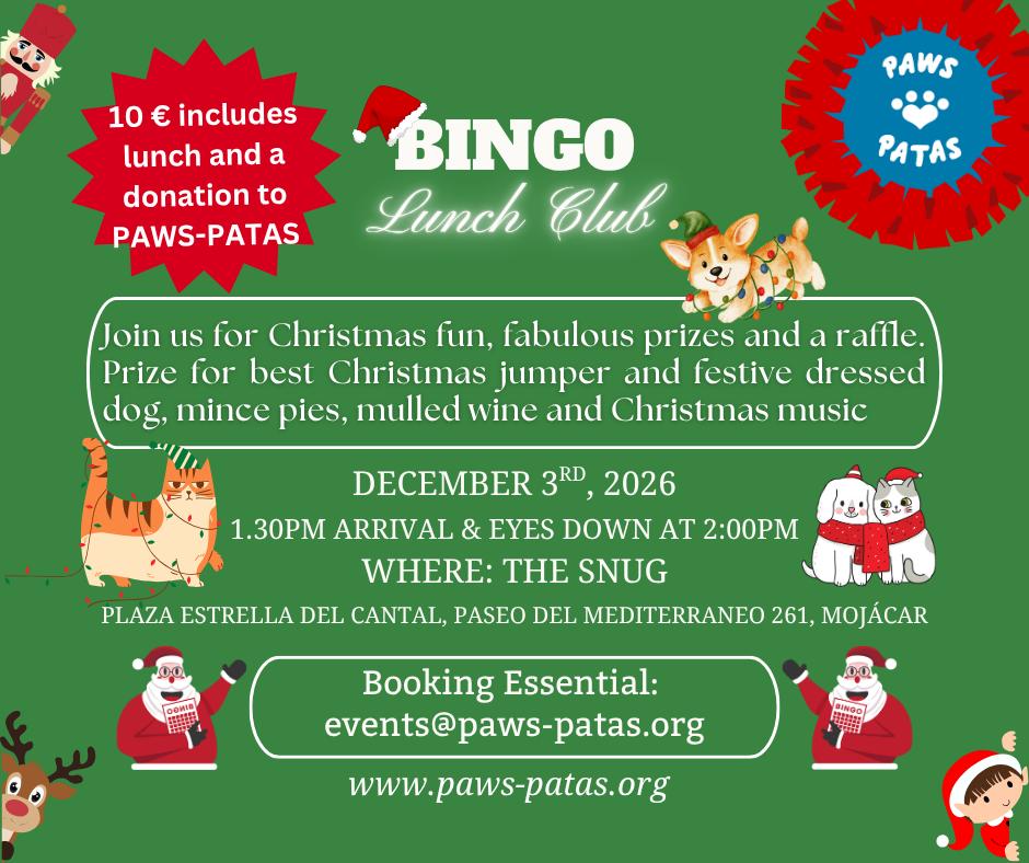 Bingo de Navidad 1