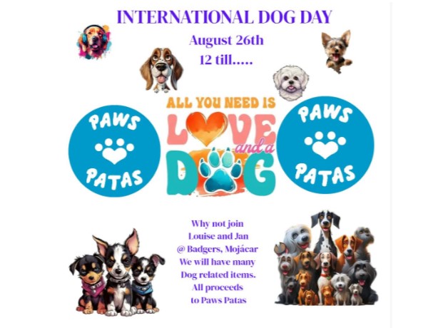 dog day2