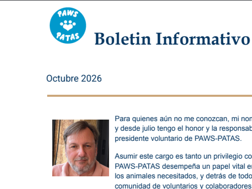 boletín informativo